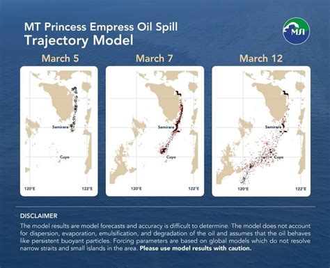palawan scandal 2023|Mindoro oil spill reaches Palawan town .